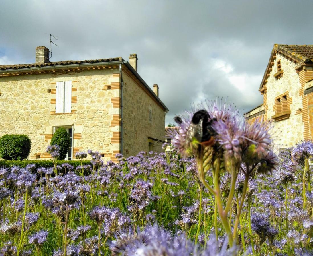 Appartamento La Dilettante Malause Esterno foto